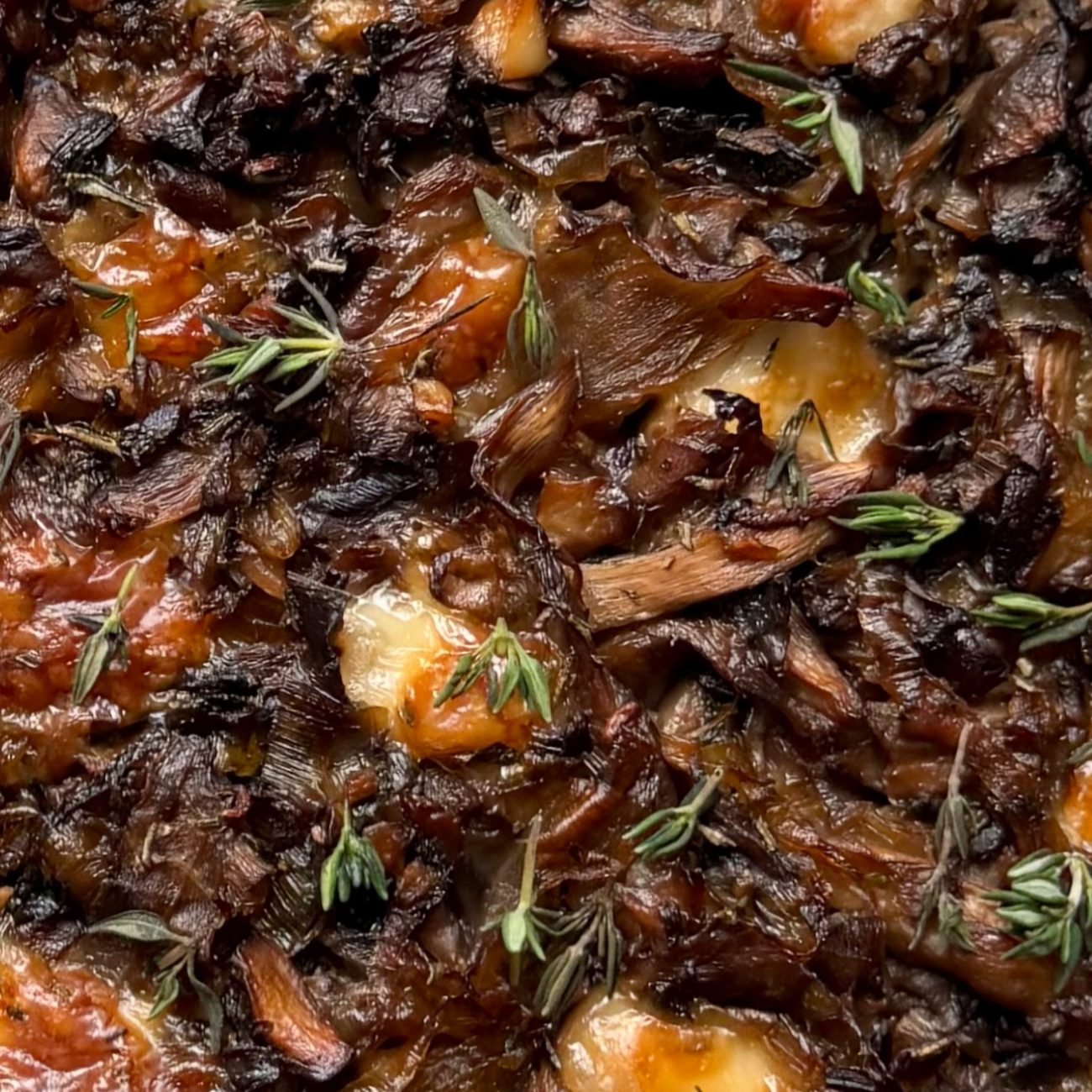 1A719E32-E4A4-4D31-ABD2-A902489B037B